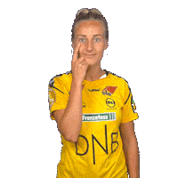 Champions League Respect Sticker by LSK Kvinner FK