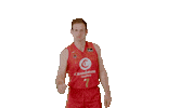 Vamos Lets Go Sticker by ACB