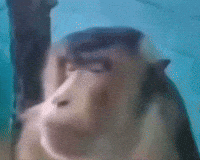 Confused Side Eye GIF