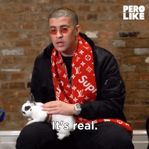 Spanish Bunnies GIF by BuzzFeed