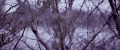 mom + pop music GIF by Mutual Benefit