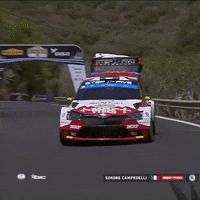 Racing Driving GIF by FIA European Rally Championship