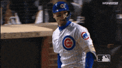 major league baseball 2019 mlb regular season GIF by MLB