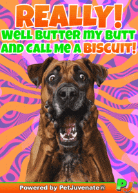 Henlo Hooman Fren GIF by PetJuvenate - PJ