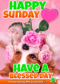 Henlo Hooman Fren GIF by PetJuvenate - PJ