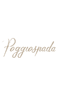 poggiospada_swimwear beach brand swimwear maison Sticker