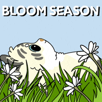 Bitcoin Spring GIF by Ordinary Frends