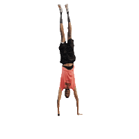 Pole Vault Spirit Sticker by Gill Athletics