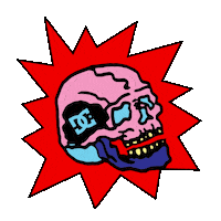 Skate Skateboarding Sticker by DC Shoes