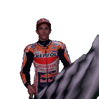 marc marquez moto gp stickers Sticker by MotoGP