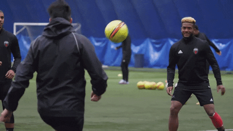 fury fc soccer GIF by Ottawa Fury FC