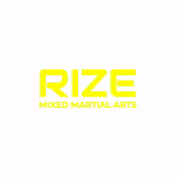 Martialarts GIF by RIZE MMA