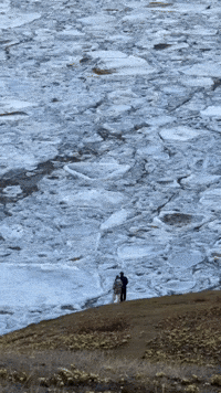 River View Couple GIF