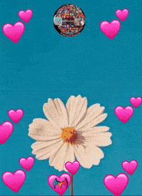 Feliz Amigos GIF by Murcianys LLC