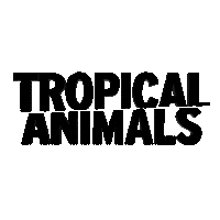 Tropical Firenze Sticker by Tropical Animals