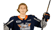 Hay Sticker by Flint Firebirds