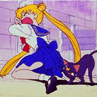 Sailor Moon No GIF