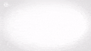 Happy Red Bull GIF by FC Red Bull Salzburg