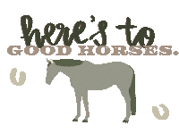 Horse Cowgirl Sticker by Molly Virginia Morris Photography