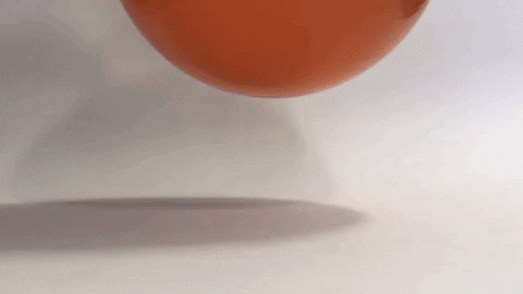 giphygifmaker GIF