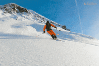 SkiBro skiing skibro GIF