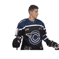 corsairesdenantes corsaires corsairesdenantes nanteshockey Sticker