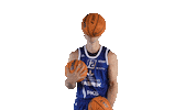 Sport Basketball Sticker by Basket_fi