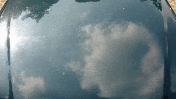 Car Wash GIF by GoGoNano
