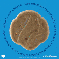 GIF by Little Brownie Bakers