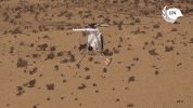 United Nations Peace GIF by UN Peacekeeping