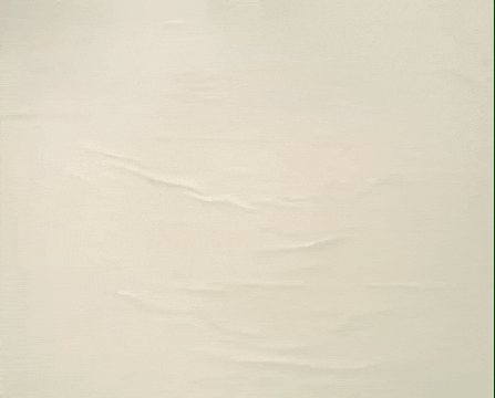 Fail William Wegman GIF by Jason Clarke