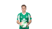 Johannes Eggestein Bundesliga Sticker by SV Werder Bremen