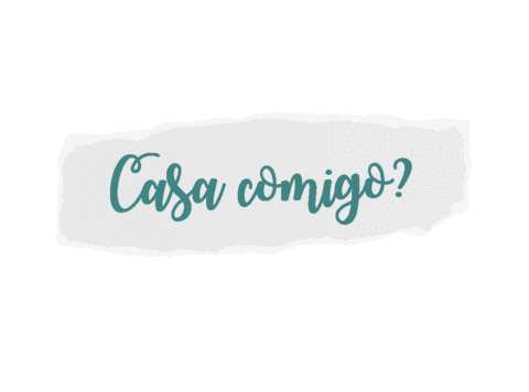 senikaparacasar giphyupload wedding casamento casar Sticker