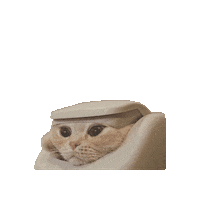 Cat Trash Sticker by Justin