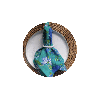 Plate Napkin Sticker by LNH EDIT