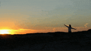 haruki murakami writing GIF by Quote Catalog