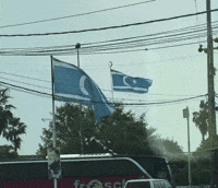 Turkmen Kirkuk GIF