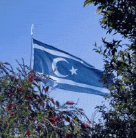 Turkmen Kirkuk GIF