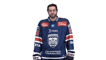 Celebration Goal Sticker by Fehervar AV19