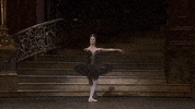 GIF by Royal Opera House