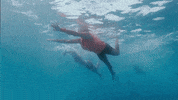 Under Water Swimming GIF by Survivor CBS