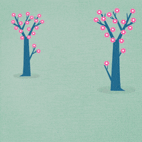 Surprise Spring GIF