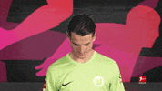 Vfl Wolfsburg Football GIF by Bundesliga