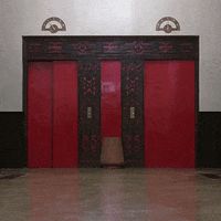 GIF by Coolidge Corner Theatre