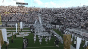 ucf knights football GIF by University of Central Florida