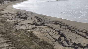 Ash From Spanish Wildfire Washes Up on Malaga Beach