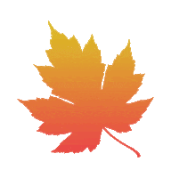 Fall 가을 Sticker by Medalgo