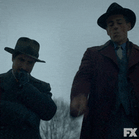 Fxnetworks GIF by Fargo