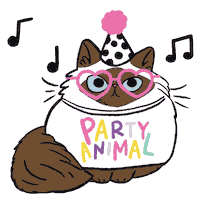 cat party Sticker by meowbox