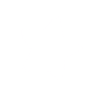Stars Sparkle Sticker by Bright Star Kids